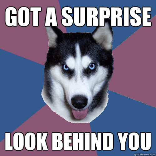 Got a surprise look behind you  Creeper Canine