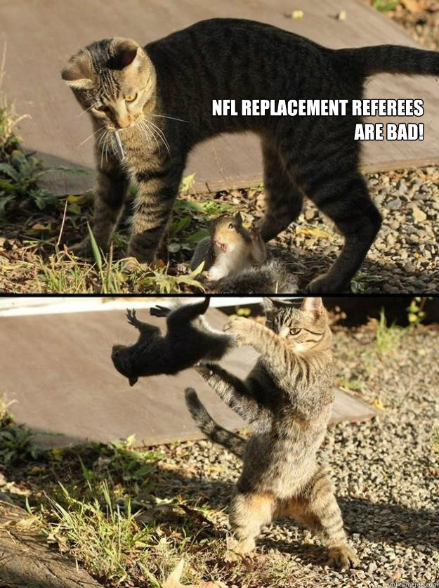 NFL replacement Referees are bad!   Annoying Squirrel