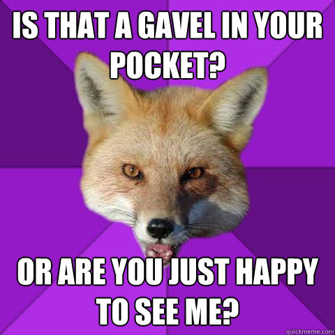 Is that a gavel in your pocket? or are you just happy to see me?  Forensics Fox