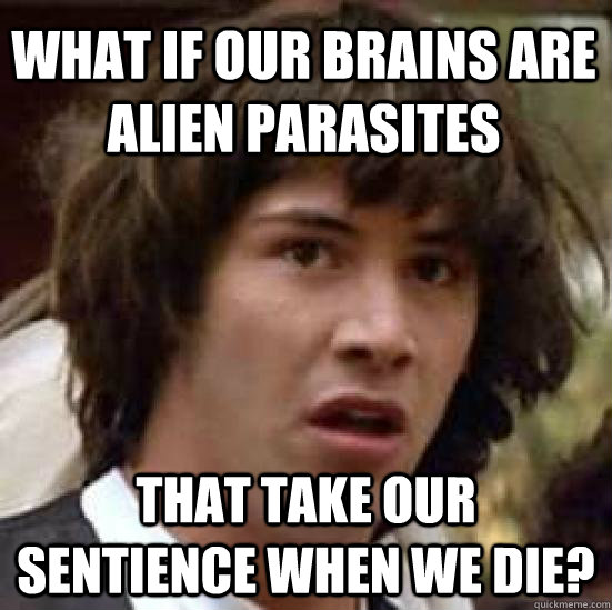 What if our brains are alien parasites that take our sentience when we die?  conspiracy keanu