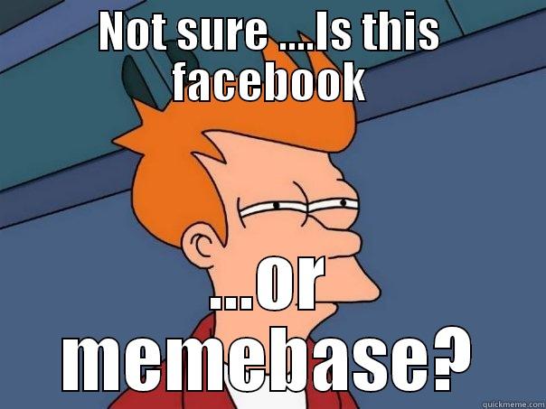 NOT SURE ....IS THIS FACEBOOK ...OR MEMEBASE? Futurama Fry