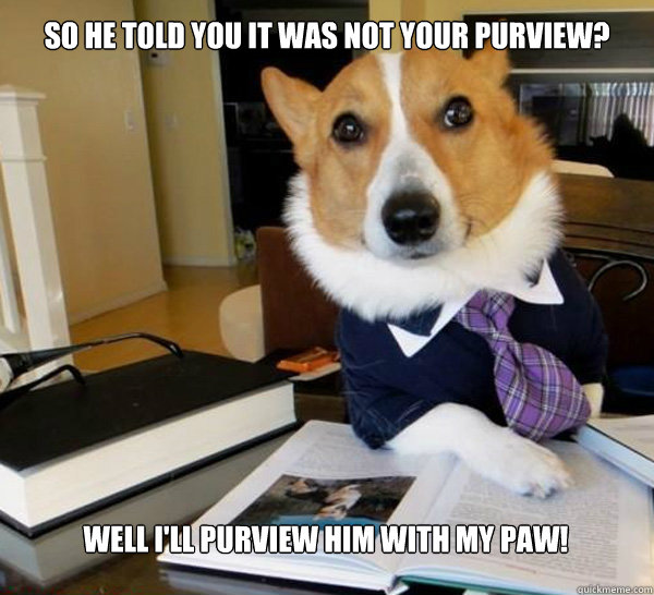 So he told you it was not your purview? Well I'll purview him with my paw!  Lawyer Dog