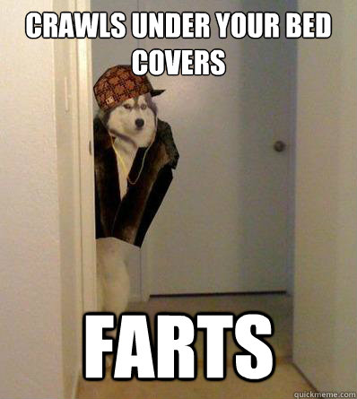 CRAWLS UNDER YOUR BED COVERS FARTS  Scumbag dog