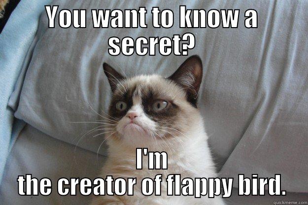 YOU WANT TO KNOW A SECRET? I'M THE CREATOR OF FLAPPY BIRD. Grumpy Cat