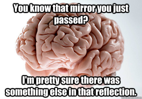 You know that mirror you just passed? I'm pretty sure there was something else in that reflection.   Scumbag Brain