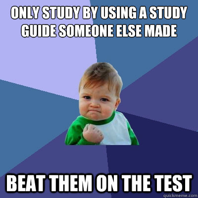 only study by using a study guide someone else made beat them on the test  Success Kid