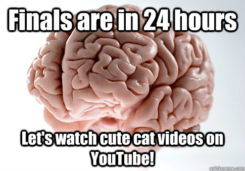 Finals are in 24 hours Let's watch cute cat videos on YouTube!   Scumbag Brain