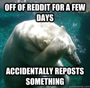 Off of reddit for a few days accidentally reposts something  