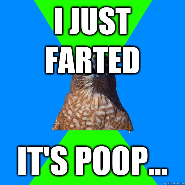 I just farted It's poop...  Hawkward