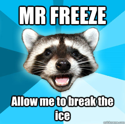 MR FREEZE Allow me to break the ice  Lame Pun Coon