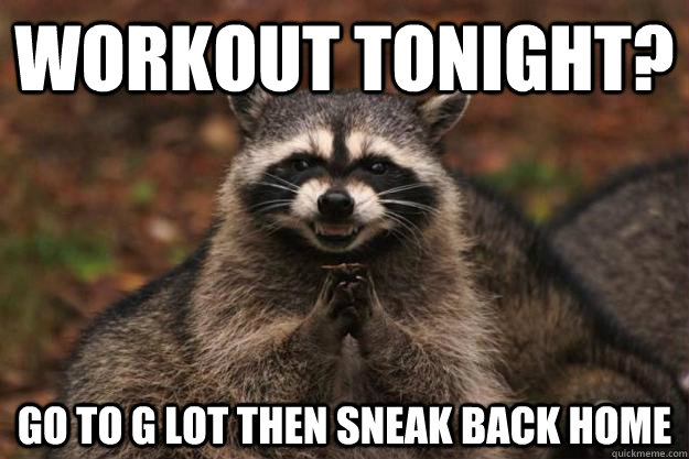 Workout Tonight? go to g lot then sneak back home  Evil Plotting Raccoon