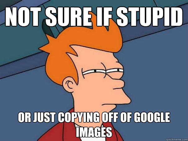 Not sure if stupid Or just copying off of Google Images  Futurama Fry