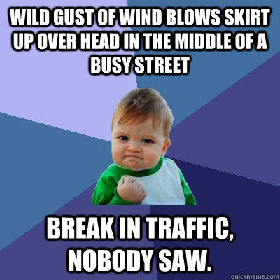 Wild gust of wind blows skirt up over head in the middle of a busy street break in traffic, nobody saw.  Success Kid