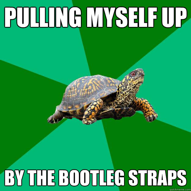 Pulling myself up by the bootleg straps  Torrenting Turtle