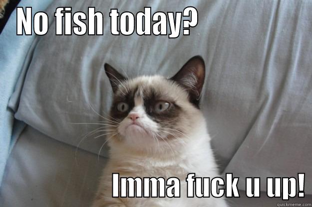 NO FISH TODAY?                                       IMMA FUCK U UP! Grumpy Cat