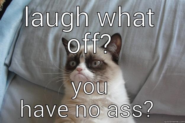 LAUGH WHAT OFF? YOU HAVE NO ASS?  Grumpy Cat