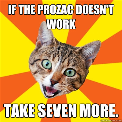 IF THE Prozac doesn't work Take seven more.  Bad Advice Cat