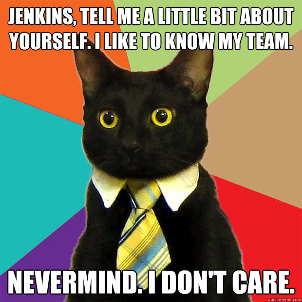 jenkins, tell me a little bit about yourself. i like to know my team. nevermind. i don't care.  Business Cat