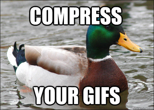 COMPRESS YOUR GIFS  Actual Advice Mallard