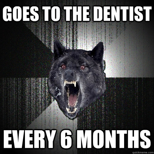 GOES TO THE DENTIST EVERY 6 MONTHS  Insanity Wolf