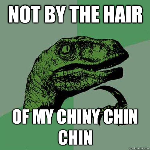 Not by the hair  of my chiny chin chin - Not by the hair  of my chiny chin chin  Philosoraptor