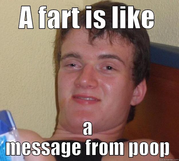 A FART IS LIKE A MESSAGE FROM POOP 10 Guy