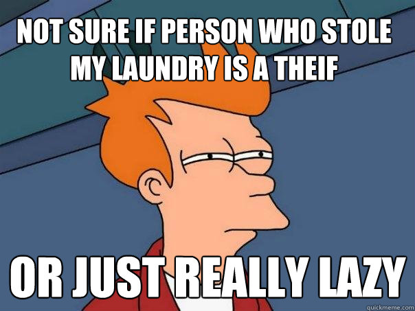 Not sure if person who stole my laundry is a theif or just really lazy  Futurama Fry