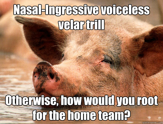 Nasal-Ingressive voiceless velar trill Otherwise, how would you root for the home team? - Nasal-Ingressive voiceless velar trill Otherwise, how would you root for the home team?  Stoner Pig