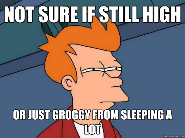 Not Sure if still high Or just groggy from sleeping a lot  Futurama Fry