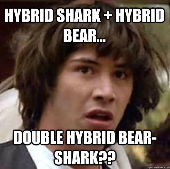 Hybrid Shark + Hybrid Bear... DOUBLE HYBRID BEAR-SHARK?? - Hybrid Shark + Hybrid Bear... DOUBLE HYBRID BEAR-SHARK??  conspiracy keanu