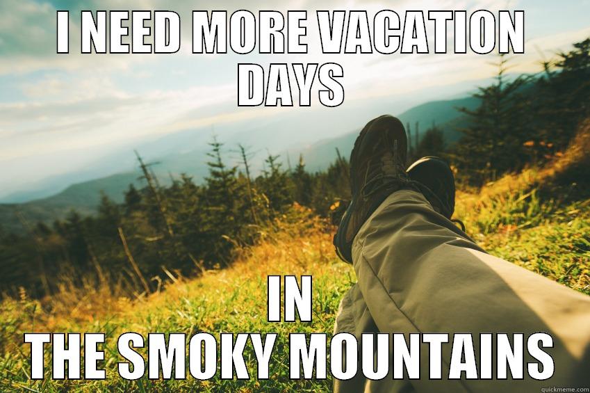 I NEED MORE VACATION DAYS IN THE SMOKY MOUNTAINS Misc