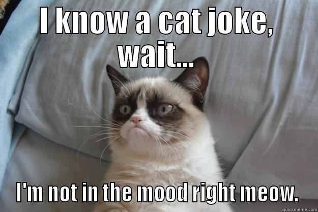 I KNOW A CAT JOKE, WAIT... I'M NOT IN THE MOOD RIGHT MEOW. Grumpy Cat