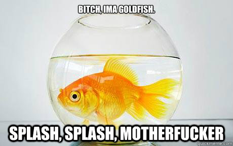Bitch, ima goldfish. Splash, Splash, Motherfucker - Bitch, ima goldfish. Splash, Splash, Motherfucker  Jamison
