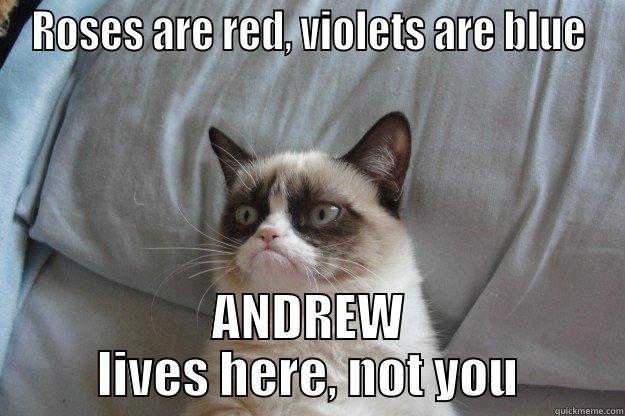 efeefefefef ereefef - ROSES ARE RED, VIOLETS ARE BLUE ANDREW LIVES HERE, NOT YOU Grumpy Cat