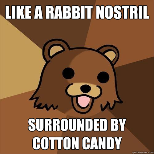 LIKE A RABBIT NOSTRIL SURROUNDED BY COTTON CANDY  Pedobear