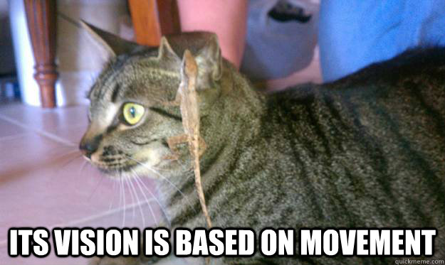  its vision is based on movement -  its vision is based on movement  Misc