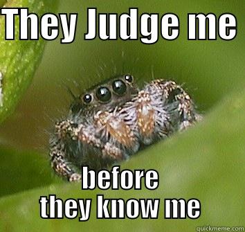 THEY JUDGE ME  BEFORE THEY KNOW ME Misunderstood Spider