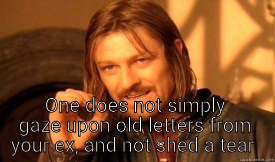 Memory lane, you don't want none of that shit -  ONE DOES NOT SIMPLY GAZE UPON OLD LETTERS FROM YOUR EX, AND NOT SHED A TEAR  Boromir