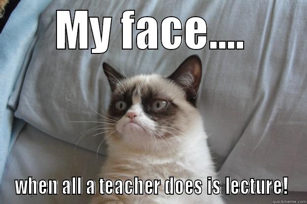 MY FACE.... WHEN ALL A TEACHER DOES IS LECTURE! Grumpy Cat