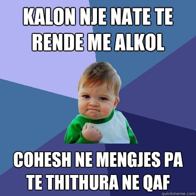 kalon nje nate te rende me alkol cohesh ne mengjes pa te thithura ne qaf  Success Kid