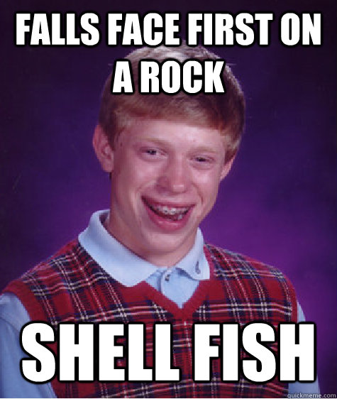 Falls face first on a rock  Shell Fish - Falls face first on a rock  Shell Fish  Bad Luck Brian