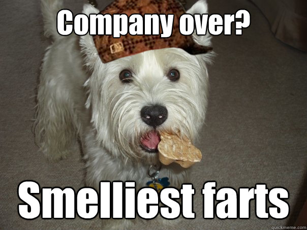 Company over?  Smelliest farts  