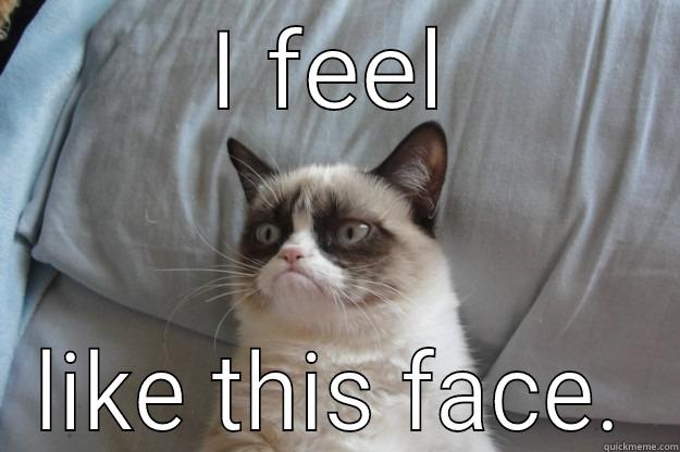 I FEEL LIKE THIS FACE. Grumpy Cat