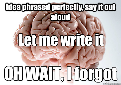 Idea phrased perfectly, say it out aloud OH WAIT, I forgot Let me write it   Scumbag Brain