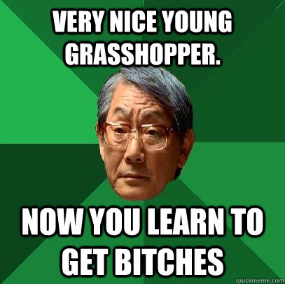 very nice young grasshopper. now you learn to get bitches  High Expectations Asian Father