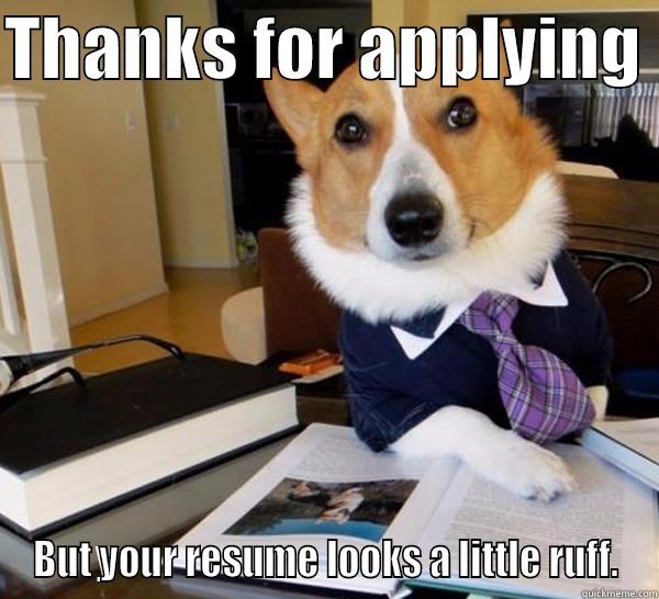 THANKS FOR APPLYING  BUT YOUR RESUME LOOKS A LITTLE RUFF. Lawyer Dog