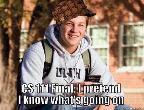  CS 111 FINAL: I PRETEND I KNOW WHAT'S GOING ON College Freshman