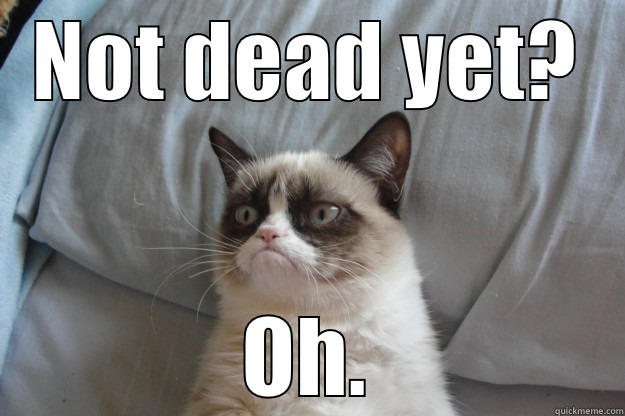 not dead yet - NOT DEAD YET? OH. Grumpy Cat