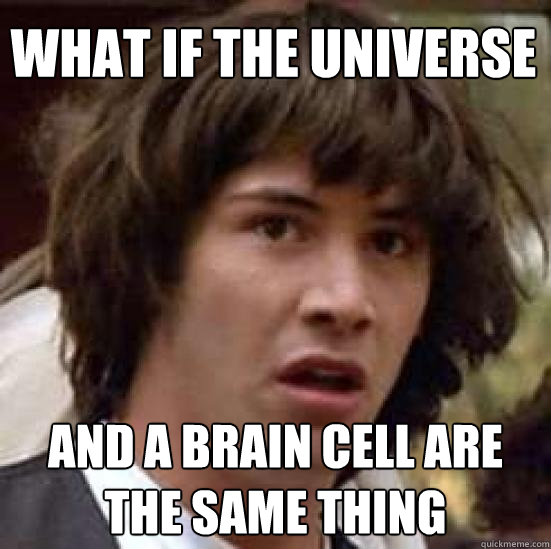 What if the universe  and a brain cell are the same thing  conspiracy keanu