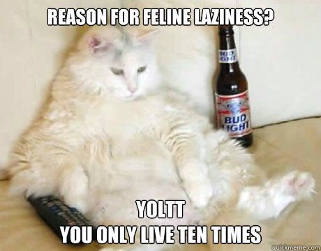 reason for feline laziness? YOLTT
You only live ten times  Lazy cat